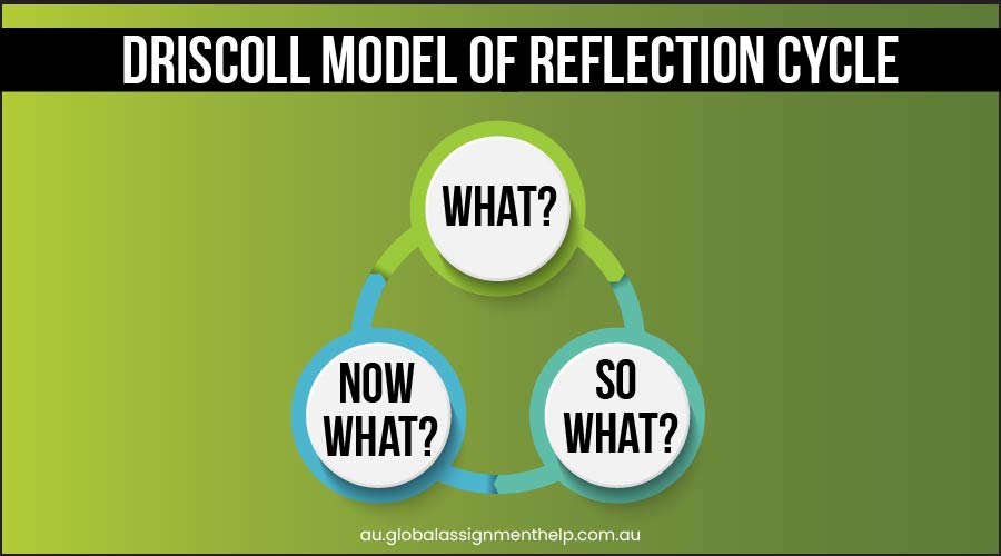 Driscolls Model of Reflection Cycle