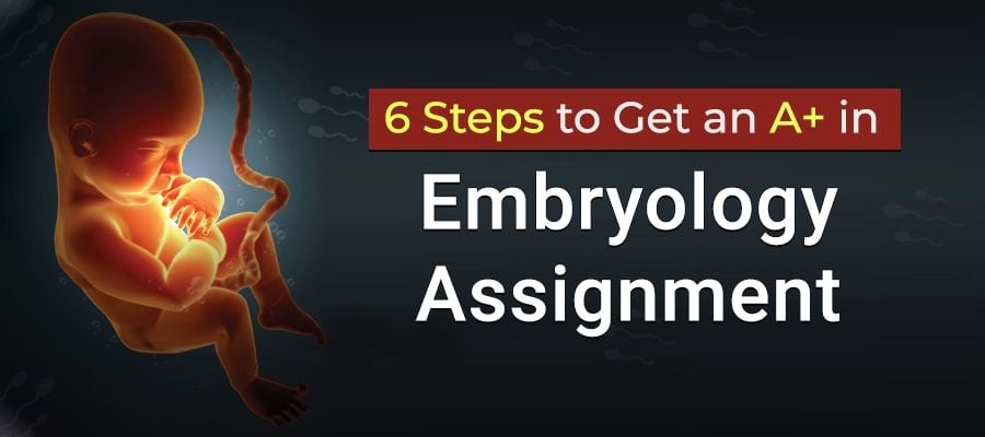 Embryology Assignment Help
