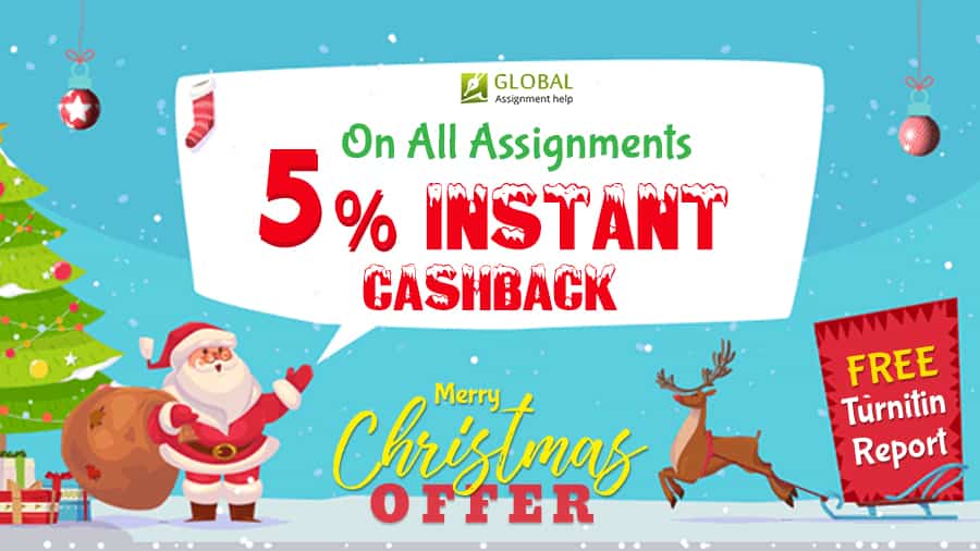 This Christmas Double Your Joy with 5% Instant Cashback on Assignments