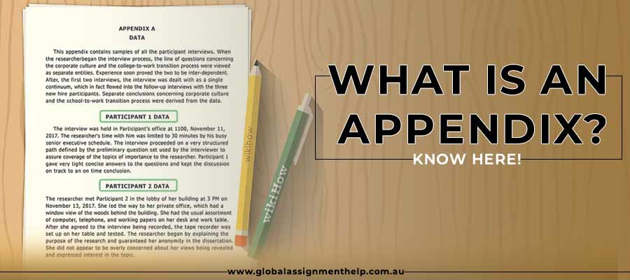What Is an Appendix?