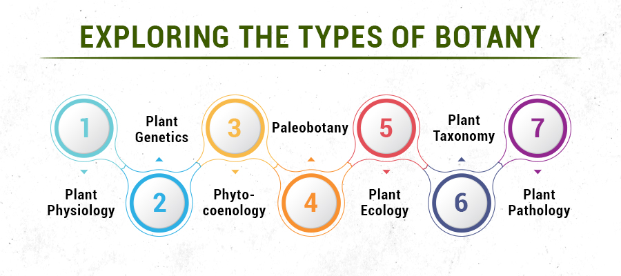 Types of Botany
